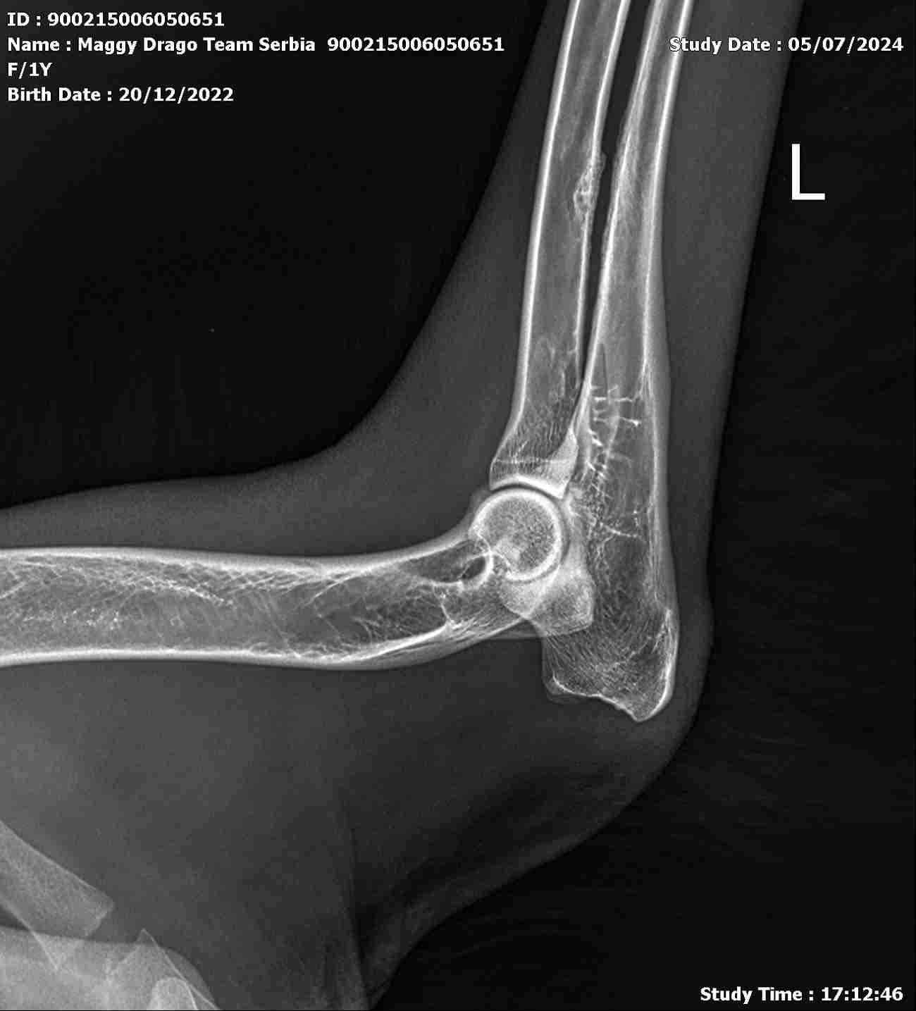 Dog-Xray-Cost.jpg