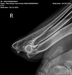 Dog-xray